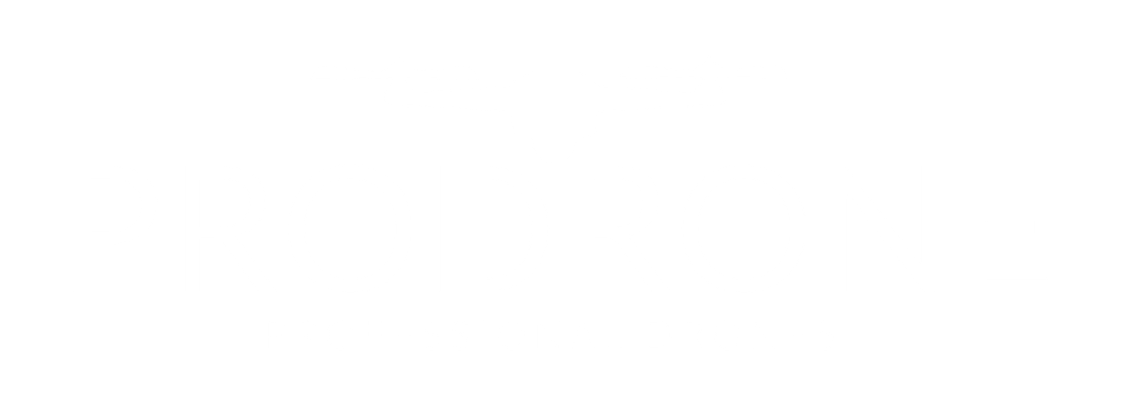 prodrone professional drones